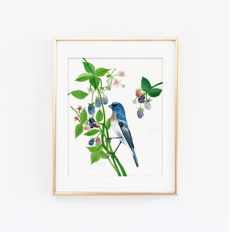 Lazuli Bunting Art Print
