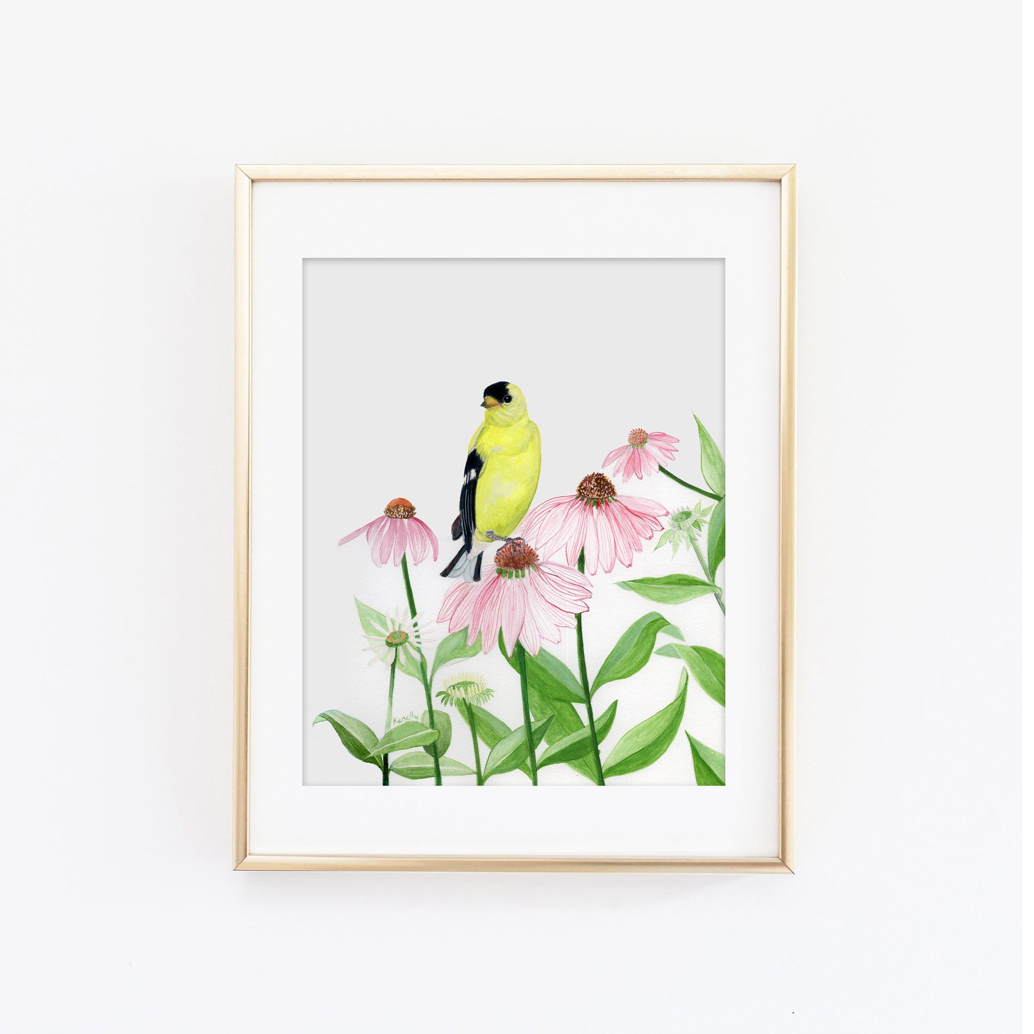 Northern Goldfinch Art Print