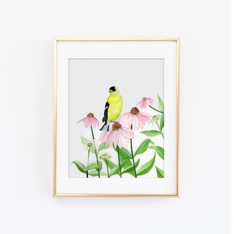 Northern Goldfinch Art Print